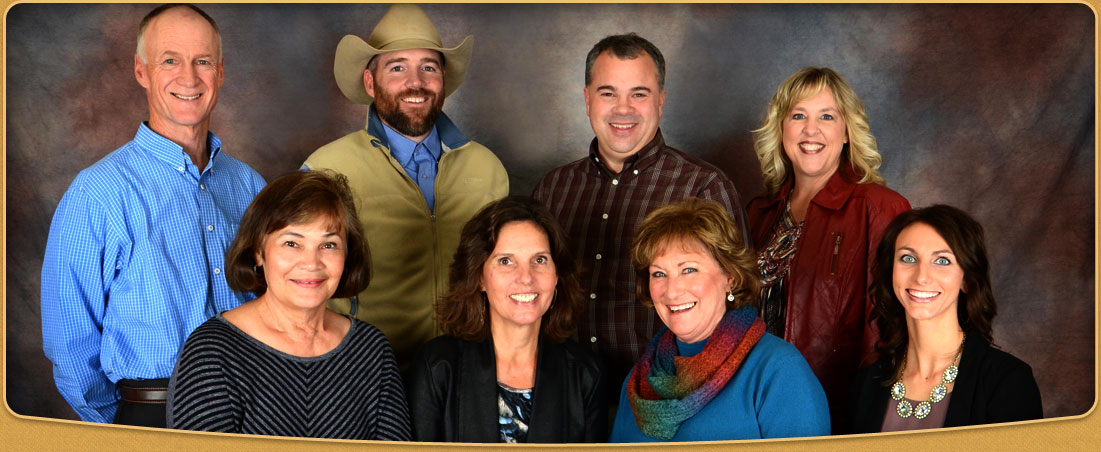Team - Beagle Properties